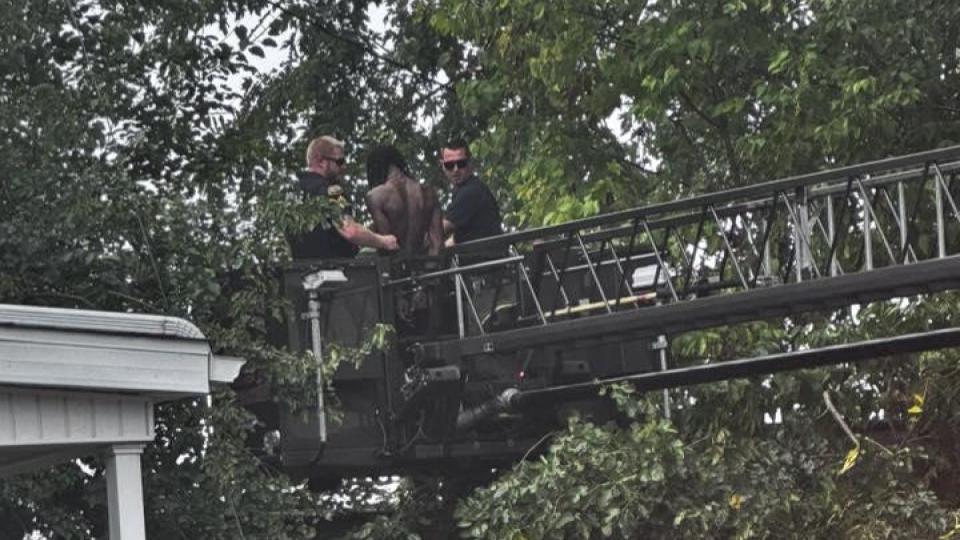 Residents concerned about series of violent&nbsp;incidents